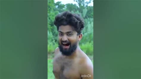 පඹයා .